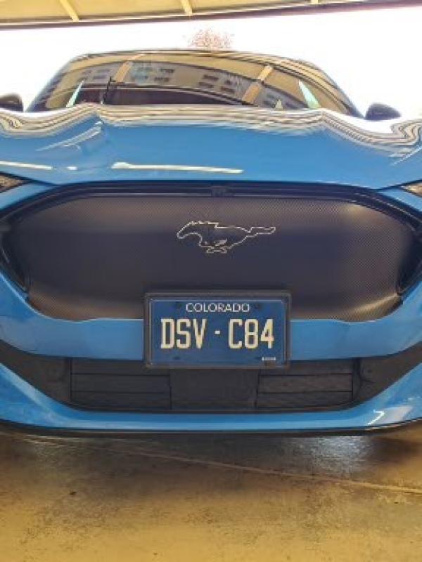 Mustang Grill Wrap
